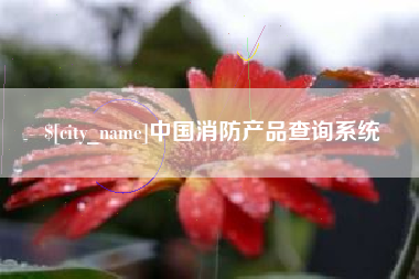 攀枝花中国消防产品查询系统