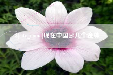 攀枝花现在中国哪几个金牌