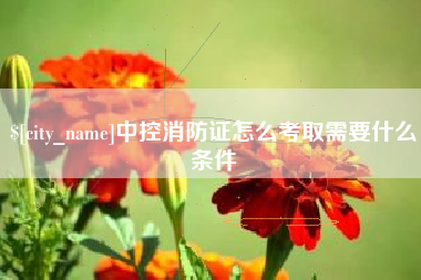 攀枝花中控消防证怎么考取需要什么条件