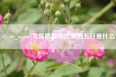 攀枝花九宫格数字代表的五行是什么