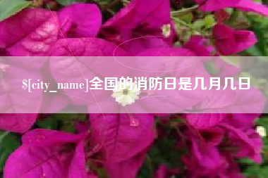 攀枝花全国的消防日是几月几日