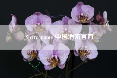 攀枝花中国消防官方