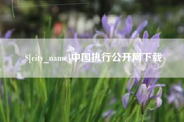 攀枝花中国执行公开网下载
