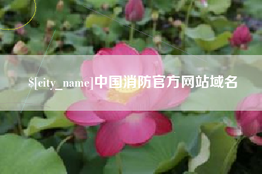 攀枝花中国消防官方网站域名