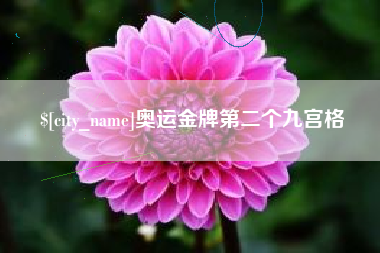 攀枝花奥运金牌第二个九宫格