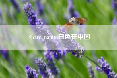 攀枝花白色在中国