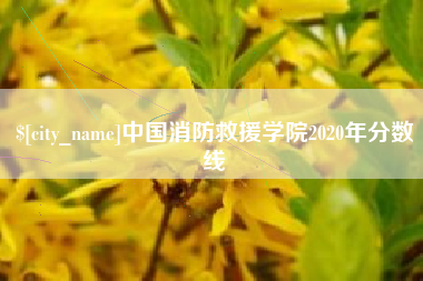 攀枝花中国消防救援学院2020年分数线