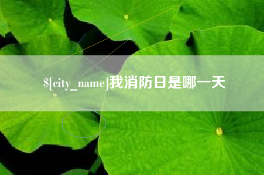 攀枝花我消防日是哪一天