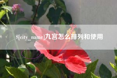 攀枝花九宫怎么排列和使用