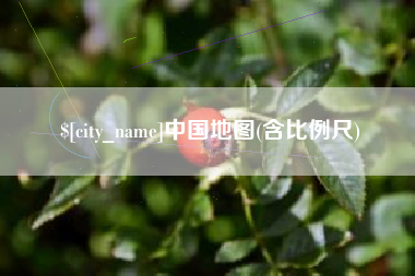 攀枝花中国地图(含比例尺)