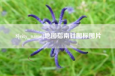 攀枝花地图指南针图标图片