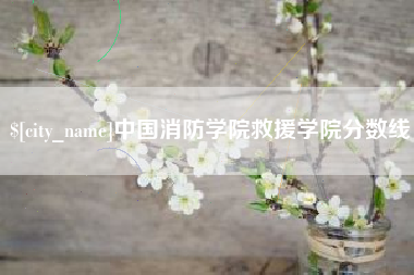 攀枝花中国消防学院救援学院分数线