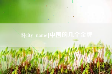 攀枝花中国的几个金牌