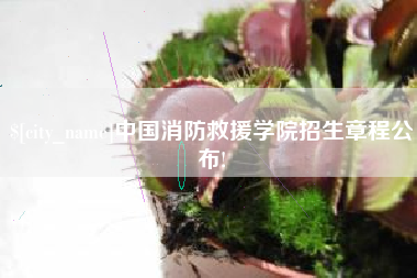 攀枝花中国消防救援学院招生章程公布!