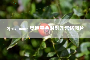 攀枝花奥运夺金时刻九宫格图片