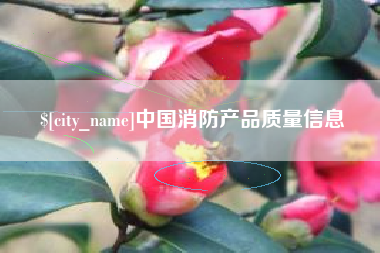 攀枝花中国消防产品质量信息