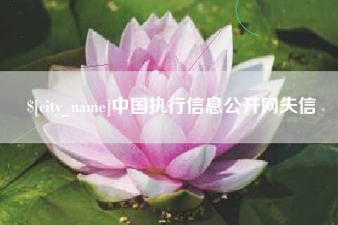攀枝花中国执行信息公开网失信