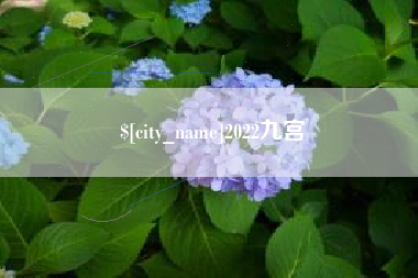 攀枝花2022九宫