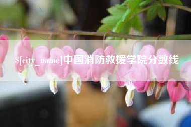 攀枝花中国消防救援学院分数线