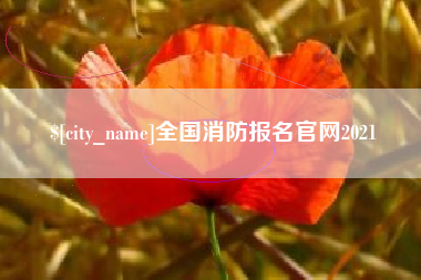 攀枝花全国消防报名官网2021