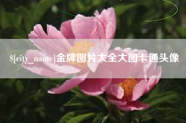 攀枝花金牌图片大全大图卡通头像