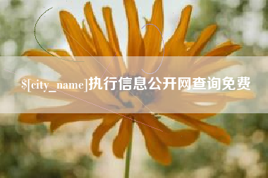 攀枝花执行信息公开网查询免费