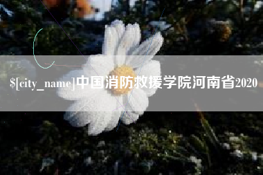 攀枝花中国消防救援学院河南省2020